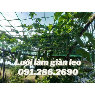 Lưới làm giàn cây leo
