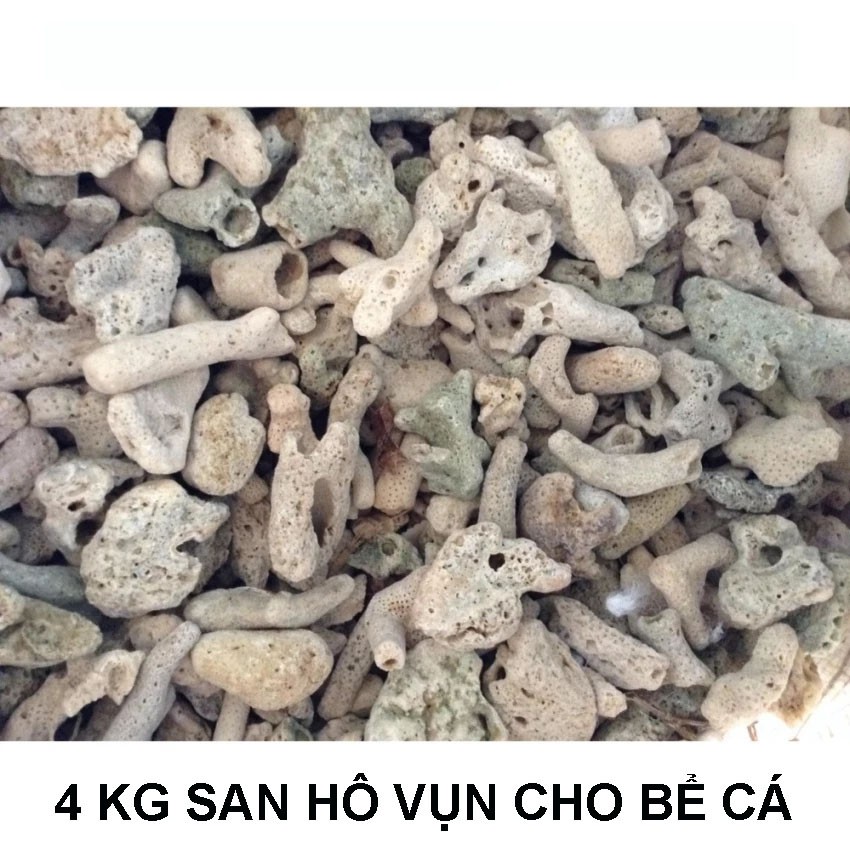 SAN HÔ VỤN ( 4 kg) lọc nước, trang trí bể cá