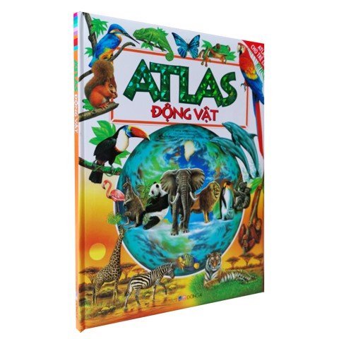 Sách - Bộ Atlas Cho Trẻ Em (Cuốn Lẻ Và Combo) - Bìa cứng - Đông A  - DAB