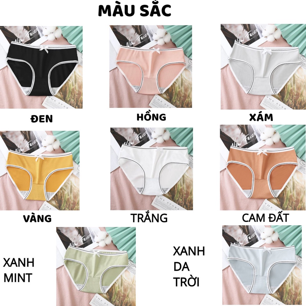 Quần Lót Cotton - Quần Lót Nữ Cotton 100% kháng khuẩn thoáng mát viền kẻ màu DAN STORE MÃ B02