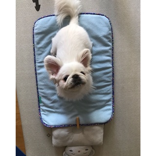Thảm thú cưng mùa hè - DoggyMan