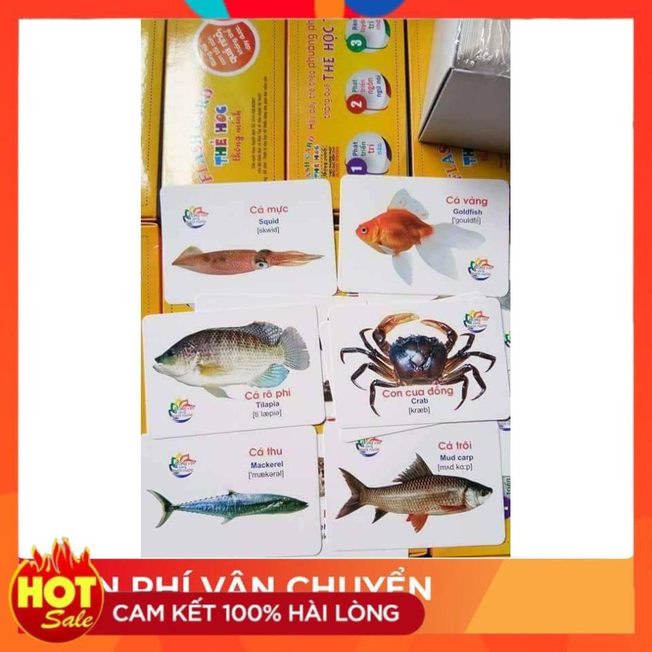 [Mã LIFEB04ALL giảm 10% tối đa 15K đơn 0Đ] Bộ thẻ học thông minh 16 chủ đề 416 thẻ tiếng anh tiếng việt cho bé