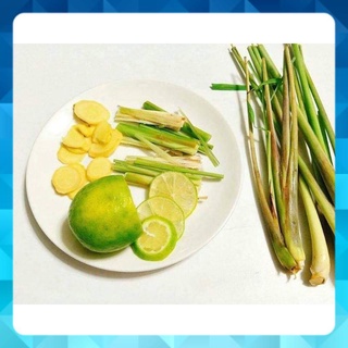 chanh sả gừng tươi ở quê gửi lên sẵn kho tp hcm