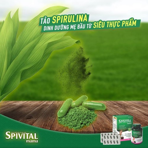 Spivital Mama - Spivital Nutri - Tảo khoáng Spirulina [Spivita, đạm thực vật]