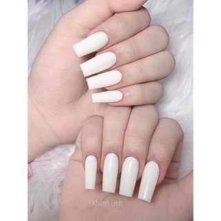 🎀Nail box, móng up thiết kế sơn trơn🎀