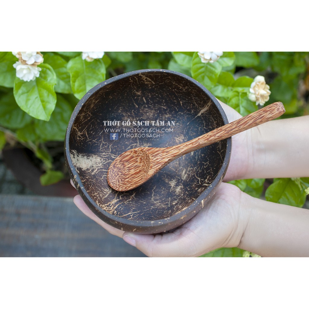 Chén Dừa, Muỗng Dừa Thân Thiện Môi Trường | BigBuy360 - bigbuy360.vn