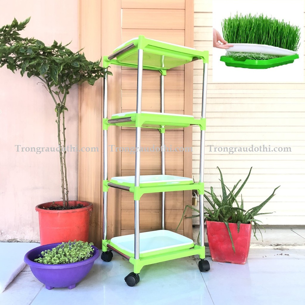 (TẶNG VÒI XỊT VÀ 200GRAM HẠT GIỐNG RAU MẦM ĐẬU HÀ LAN) Bộ Chậu Kệ Trồng Rau Mầm Bằng Nước 4 Tầng 4 Chậu