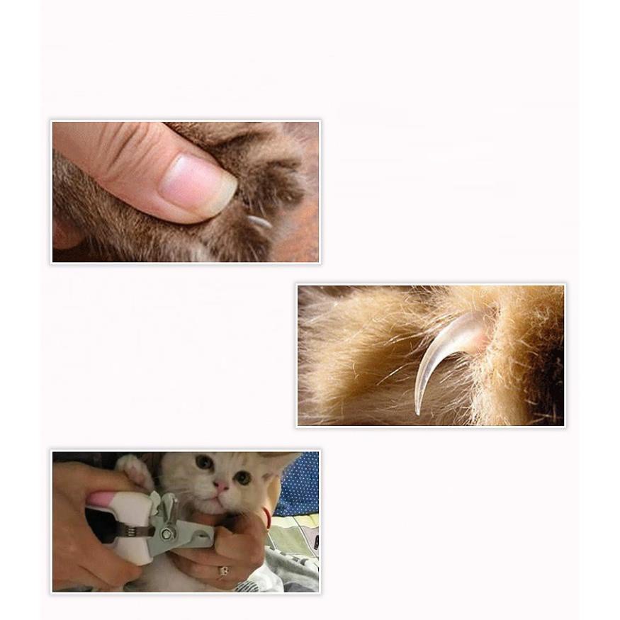 STHA- Kéo cắt móng cho chó mèo (2 size) Bộ gồm kìm cắt móng và dũa móng cho thú cưng