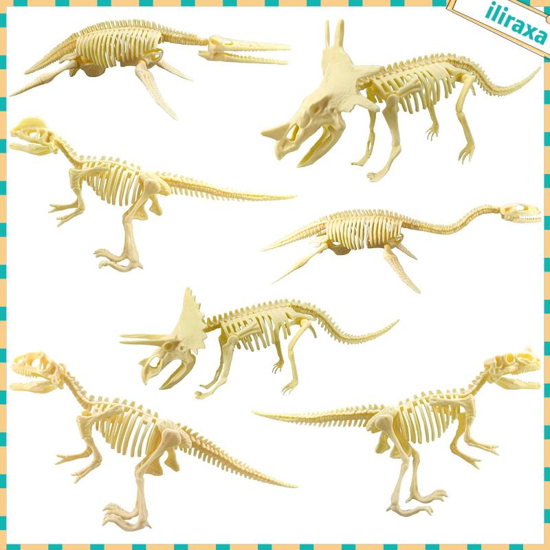 Set 7 Mô Hình Xương Khủng Long Đồ Chơi Giáo Dục Cho Bé