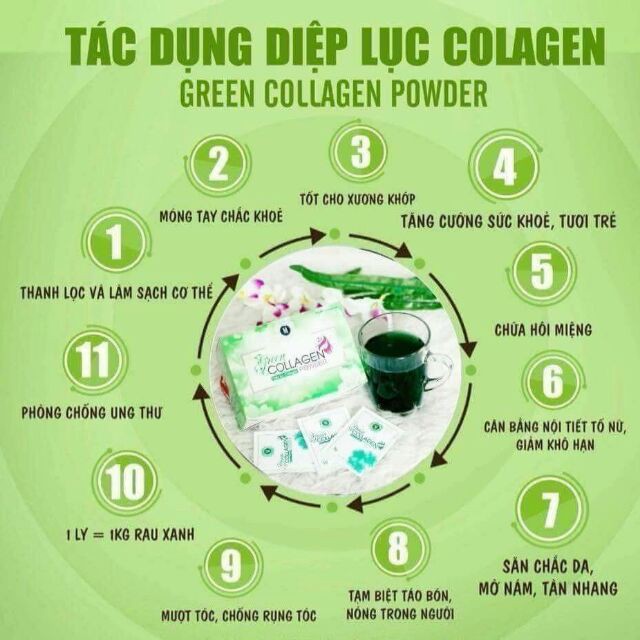 [ CHÍNH HÃNG ] Diệp Lục Collagen - Bổ Sung Chất Xơ, Điều Hòa Nội Tiết, Da Sáng Dáng Xinh