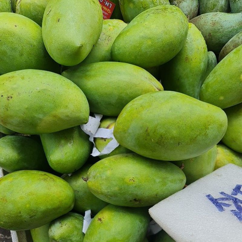 Xoài keo, xoài tứ quý làm gỏi ăn sống