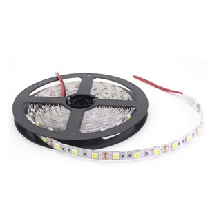 Đèn led dây dán 12V 2835 chiều dài 5 m ánh sáng trắng vàng nắng xanh dương đỏ xanh lá hàng chất lượng cao