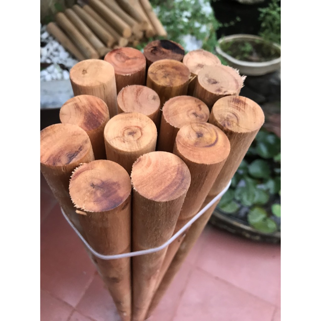 ComBo 6 Thanh gỗ tròn Fi 24cm dài 120cm [Freeship Xtra] mãi nhẵn ( phụ kiện Decor) | BigBuy360 - bigbuy360.vn