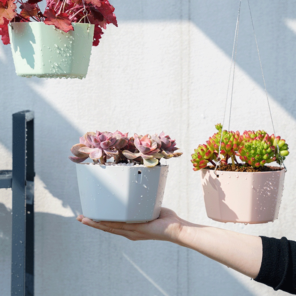 Chậu Trồng Cây Xương Rồng Bằng Nhựa 15cm Thấm Hút Tốt Có Móc Treo Độc Đáo Trang Trí Nhà Cửa / Ban Công