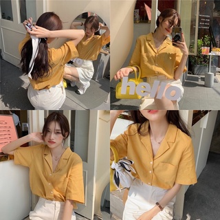 Áo sơ mi đũi cổ vest cộc tay basic 4 màu