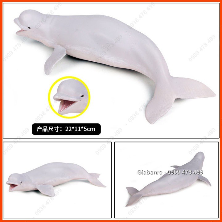 Mô Hình Cá Voi Trắng Beluga - 18-22cm -  Thế Giới Động Vật - 7673.9