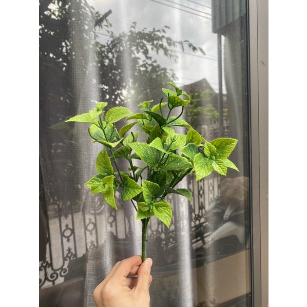 Cụm bạc hà nhiều màu sắc trang trí không gian tiệc, decor quán Cafe nhà hàng