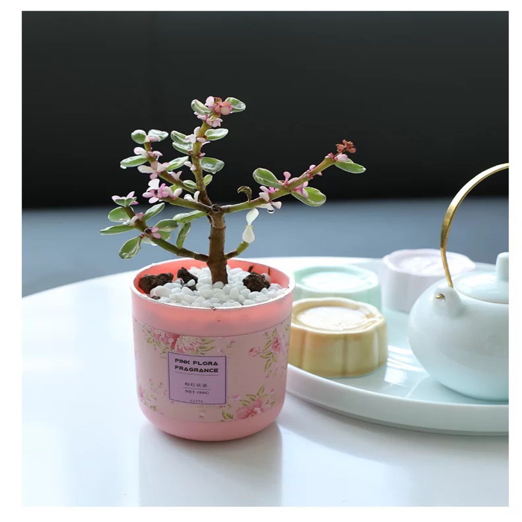 PVN35782 Sáp thơm phòng CozyBin khử mùi phòng ngủ nhà vệ sinh toilet ô tô với 4 mùi hương tự nhiên 190g T2