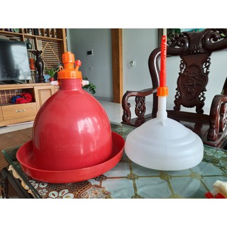 Máng chuông tự động Thái Lan