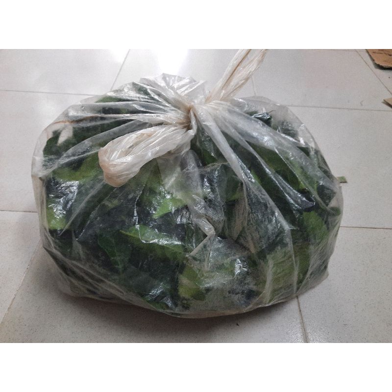 Lá chay tươi, gói 500g