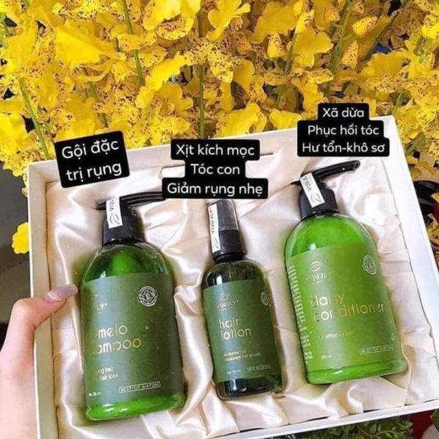 Combo trị rụng tóc Vijully Cosmetic