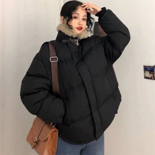 Áo phao béo korea
