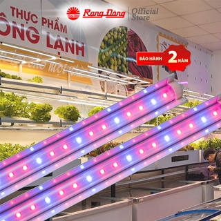 Combo 2 đèn LED trồng cây chuyên dụng Rạng Đông Ánh sáng Xanh và Đỏ 25W Model: LED TRR 01L 120/25W BR (30B/70R)