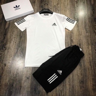 Combo nhung nhung cao