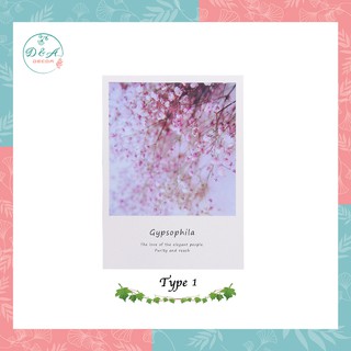 Poster màu sắc nghệ thuật size 15x20cm - Sản phẩm có 9 mẫu