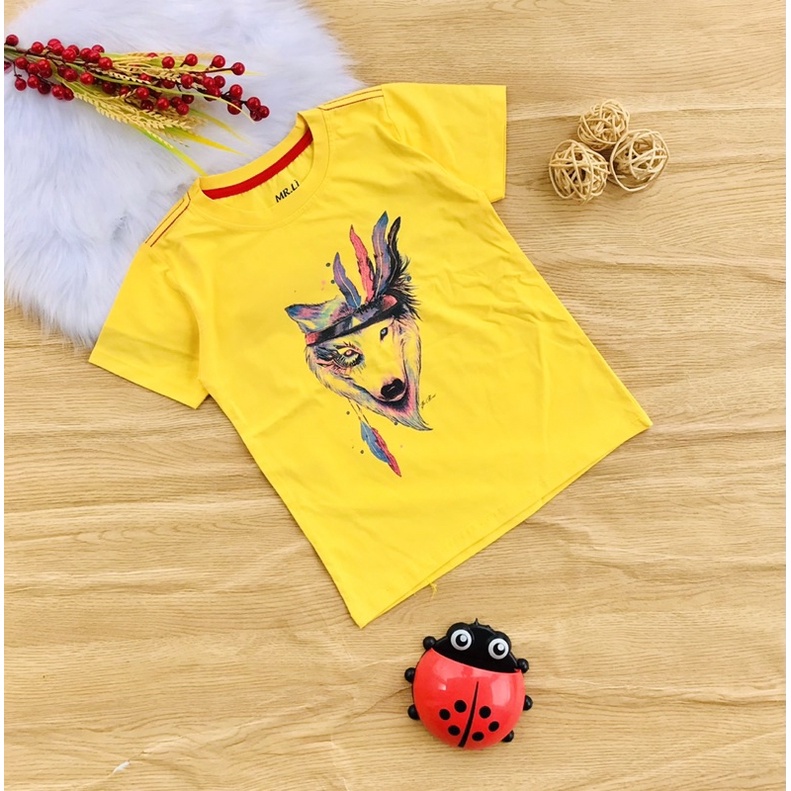 🚗 Áo cotton hàng shop bé trai từ 25-40kg