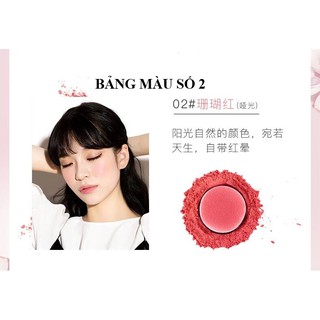 Phấn má hồng kèm cọ Feilinka