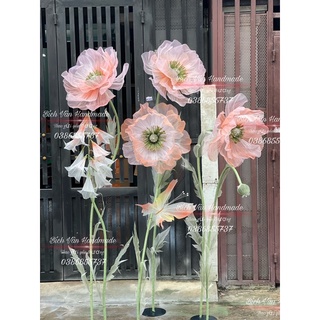 cây hoa vải Voan màu đỏ trang trí Studio ,cửa hàng ......
