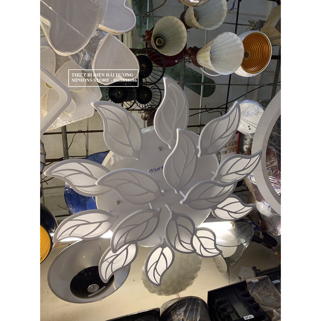 Đèn led ốp trần hình 15 lá NT026 - Decor Trang Trí - 3 chế độ ánh sáng - Có Điều Khiển Từ Xa - Có Video