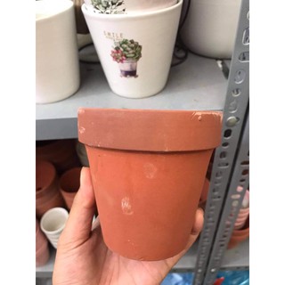 Chậu trồng sen đá