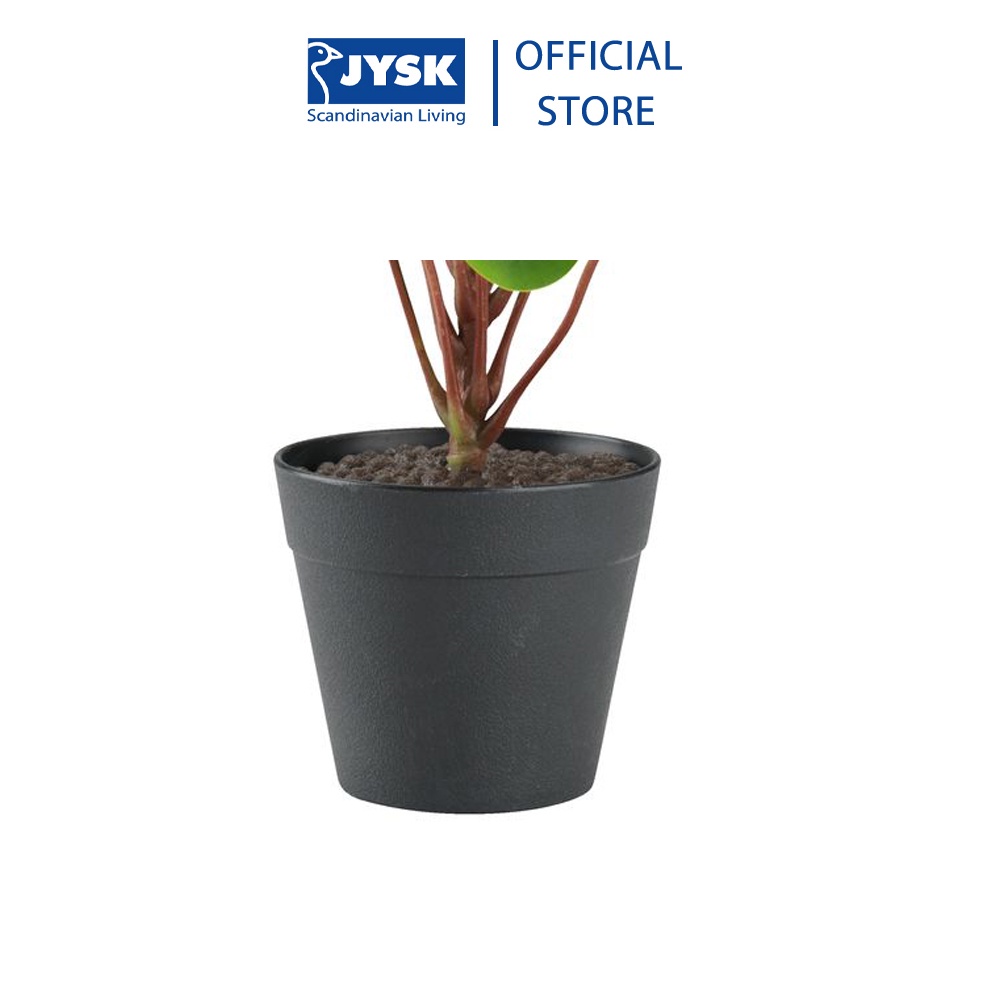 Cây trang trí | JYSK Mikkel nhựa xanh lá | DK23xC27cm