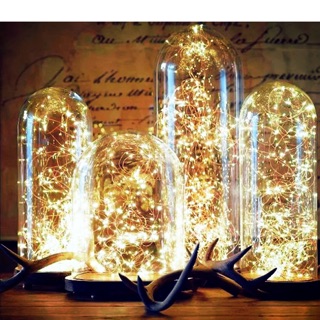 đèn led kẽm Fairy Lights chạy pin 3m - hàng sẵn