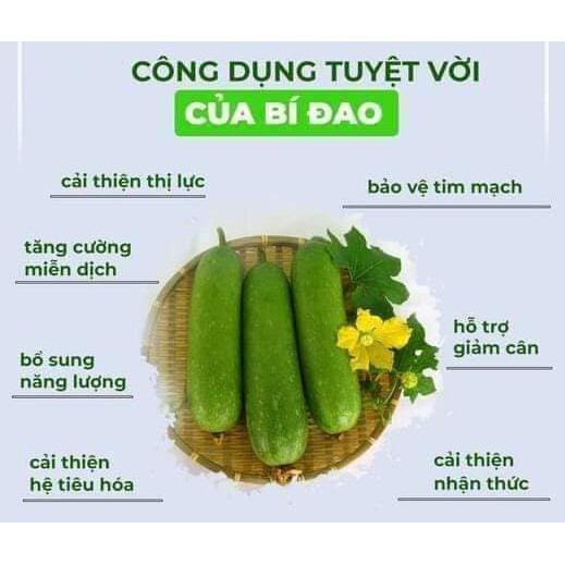[Tổng Kho] Trà Bí Đao Giảm Cân Sấy Khô 1Kg Giúp Thanh Nhiệt Giải Độc