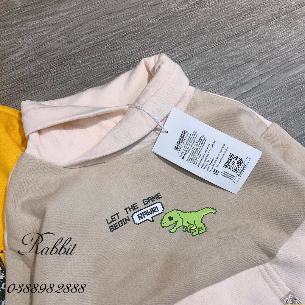 Áo nỉ hoodie