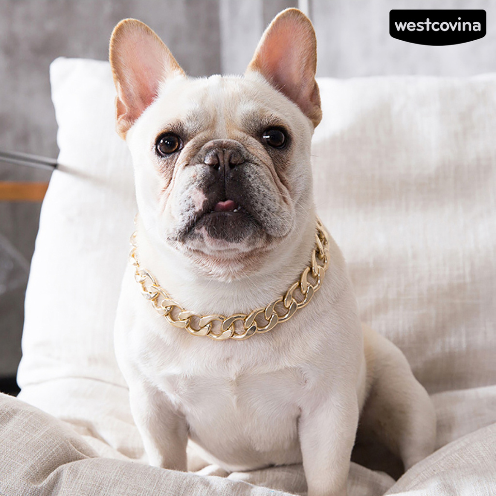 Vòng Cổ Bằng Nhựa Có Thể Điều Chỉnh Cho Chó Pitbull