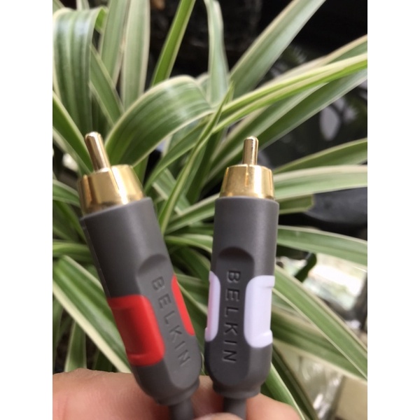 Dây tín hiệu dây Belkin Đức 3.5 ra AV dài 2m chất lượng cao