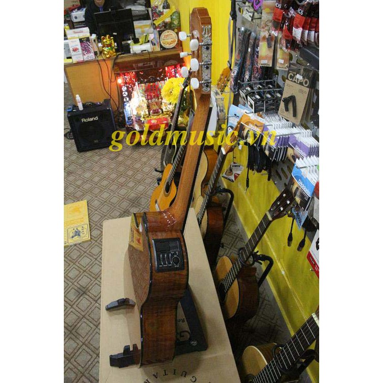 Đàn Guitar Takamine GC1CE NAT