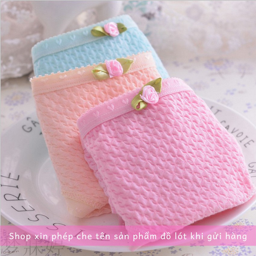 Quần lót nữ Cotton thoáng khí xốp nhẹ QL026 | BigBuy360 - bigbuy360.vn