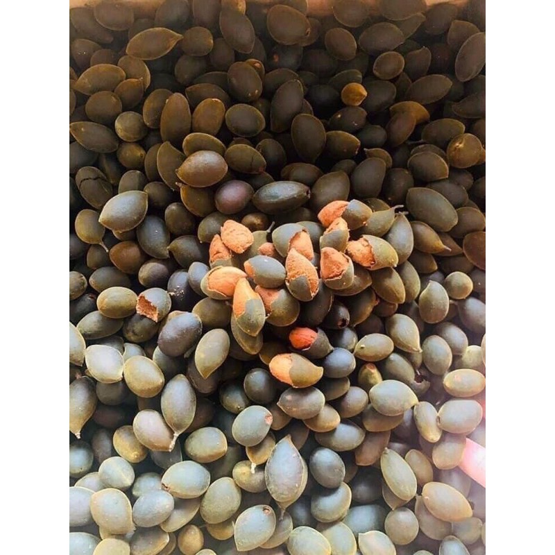 (Tặng kèm muối tôm) Say trâu rừng 500gr Nhii Food đồ ăn vặt chua chua ngọt ngọt | BigBuy360 - bigbuy360.vn