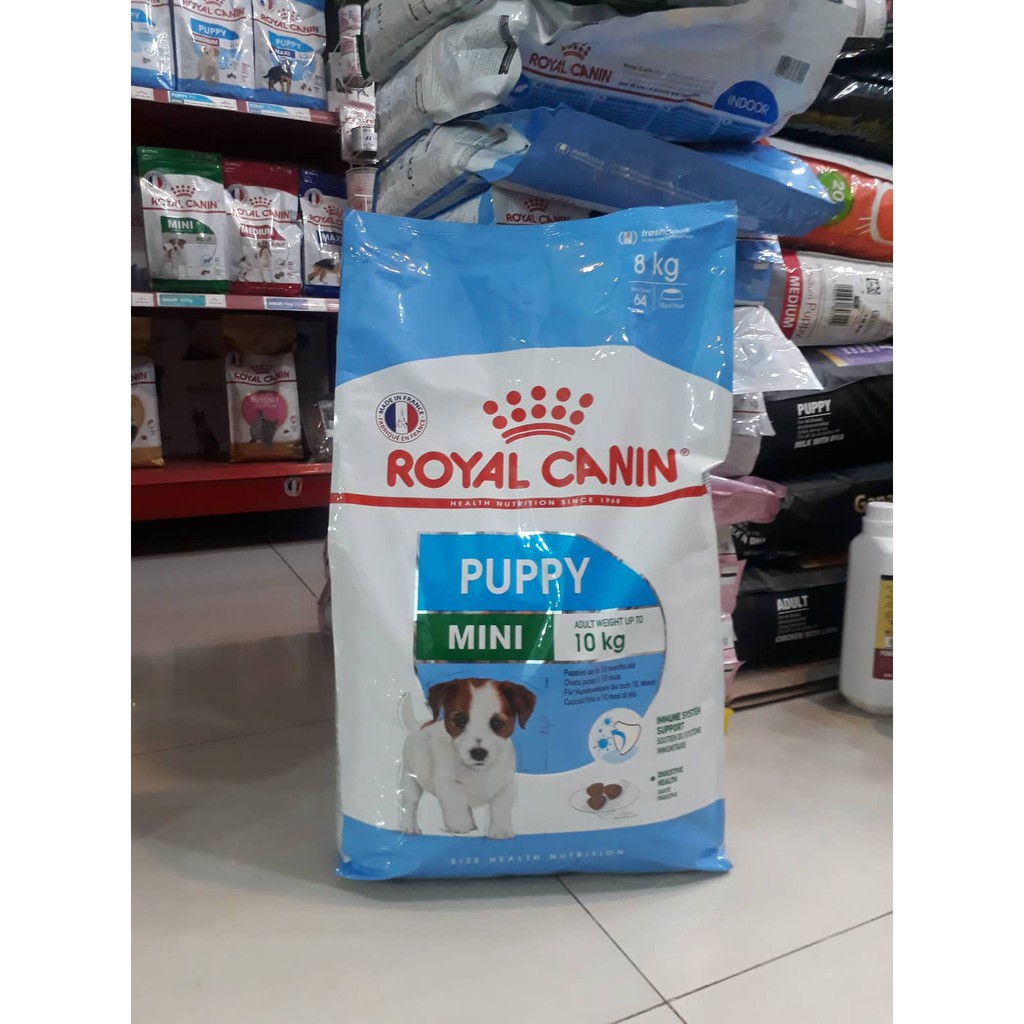 Thức ăn hạt cho chó Royal Canin Mini Puppy bao 8kg