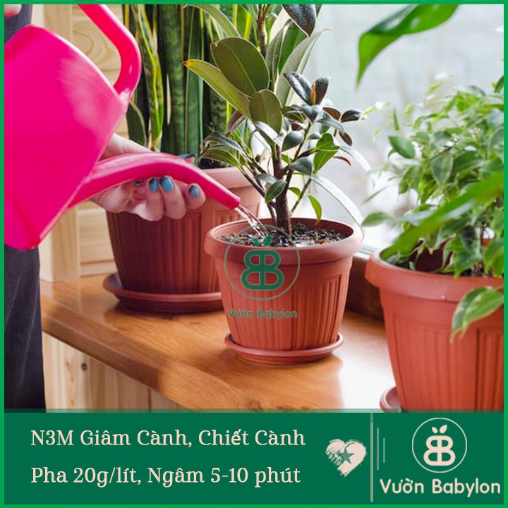 Thuốc Kích Rễ N3M 100Gr Kích Rễ, Bón Lá