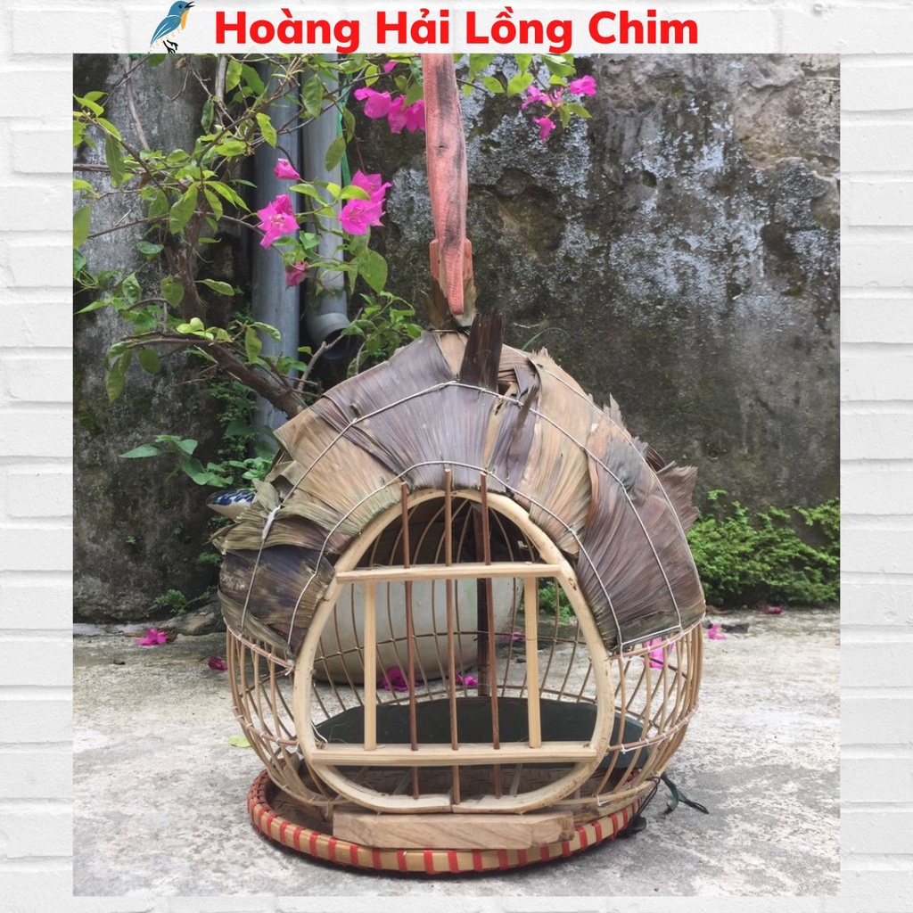 Lồng chim Cu gáy quả đào đẹp cửa dơi mái lá cao cấp đẹp giá rẻ chất liệu cao cấp Hoàng_Hải_Lồng Chim