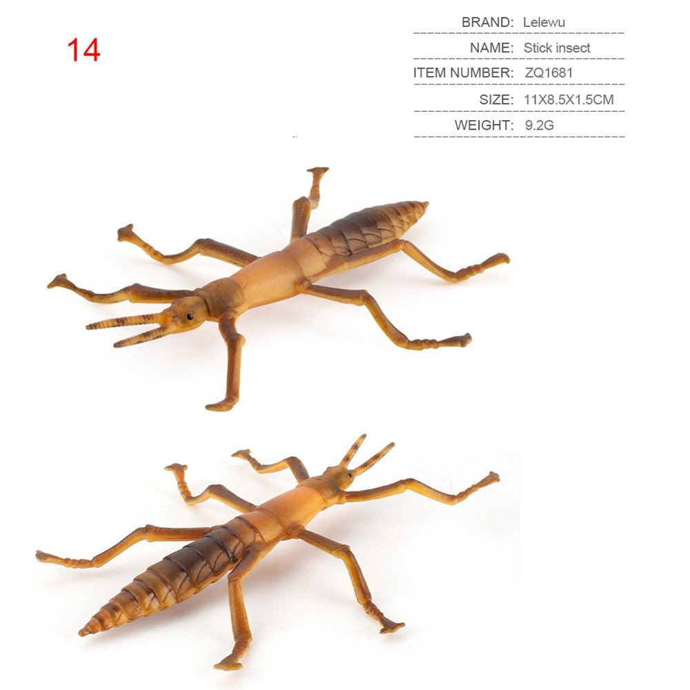 DAPHNE Funny Insect Animals Model Children Gift Growth Cycle Simulation Ladybug 14 Styles Home Decor Miniature Educational Toy Plastic Action Figures