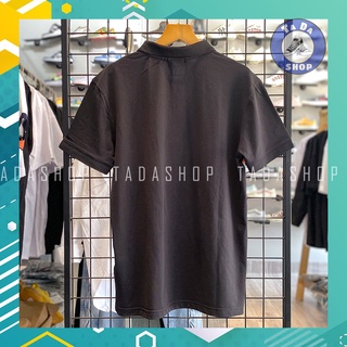 Áo polo dolce MIKENCO [ảnh thật]