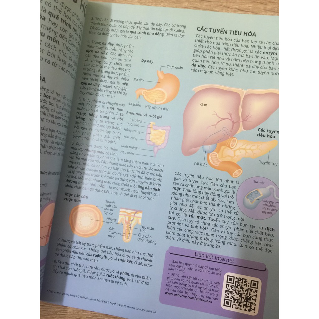 Sách - Science Encyclopedia - Bách khoa thư về khoa học – Combo 8 cuốn