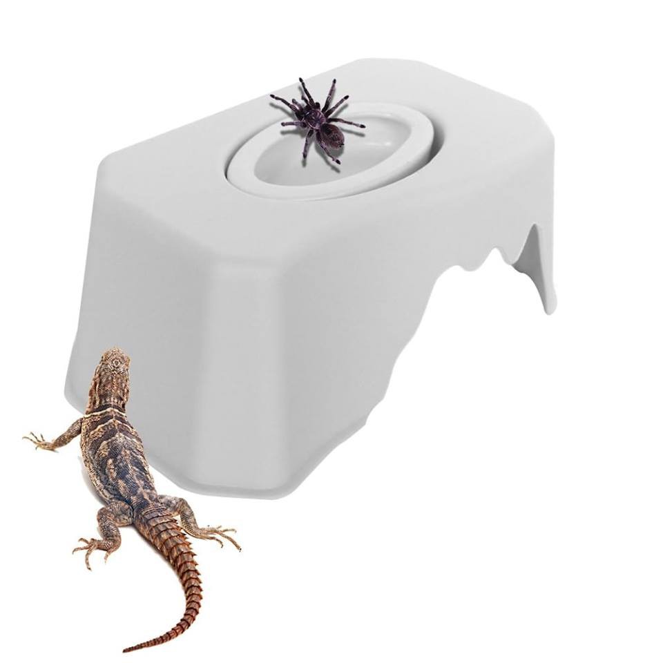 Hộp trú ẩn kèm bát ăn cho bò sát, nhện, bọ cạp, ếch, rắn nhỏ